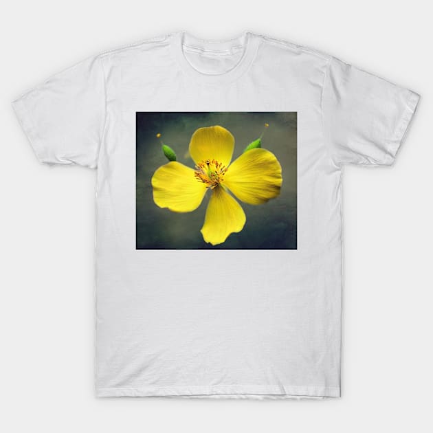 Wood Poppy In Yellow T-Shirt by JimDeFazioPhotography